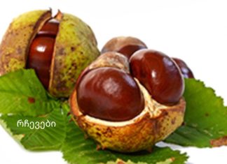 ამ მცენარის ფოთლებს შეუძლიათ ორგანიზმიდან ყველა არასაჭირო მარილის ამოღება!