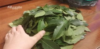 მეზობლის ბებიამ მასწავლა დაფნის ფოთლის ჯადოსნური თვისებები