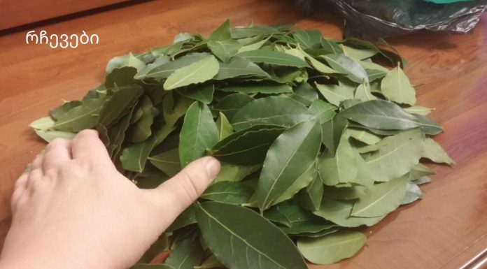 მეზობლის ბებიამ მასწავლა დაფნის ფოთლის ჯადოსნური თვისებები