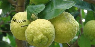 სასწაული რეცეპტი გიხსნით სახსრების ტკივილისგან!