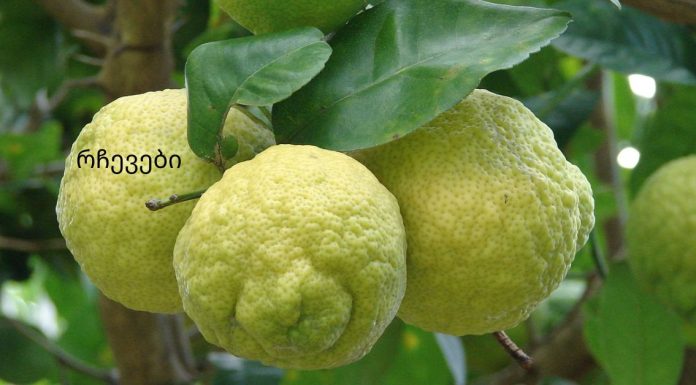 სასწაული რეცეპტი გიხსნით სახსრების ტკივილისგან!