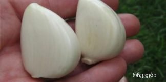 ადამიანების 5 კატეგორია, რომლებსაც აკრძალული აქვთ ნივრის ჭამა