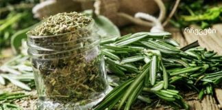 ყველაზე ძლიერი ბალახი ცერებრალური მიმოქცევისთვის, გულის, სისხლძარღვების, თირკმელზედა ჯირკვლების, სახსრების, კანისა და თმისთვის!