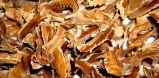 არ გადაყაროთ ნიგვზის ტიხრები – სარგებელი და ნაყენის რეცეპტი