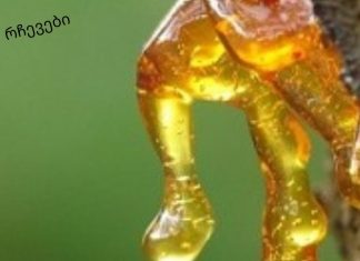 ფისი – კედარის სამკურნალო ფისი, კედარის ფისის გამოყენება