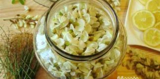 თეთრი აკაცია განსაკუთრებით სასარგებლოა ქალებისთვის. მიყვარდა ჩაი აკაციისგან, ყველაფერი დამავიწყდა ქალის სნეულებაზე!