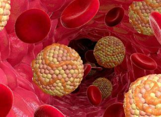 გაარკვიეთ, რატომ გვჭირდება ცხიმები: 4 ფუნქცია ორგანიზმში. ცხიმების მნიშვნელობის გაცნობიერებით, მათ შეგნებულად არ აიცილებთ უცხიმო დიეტის დროს.