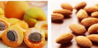 გარგარის მარცვალი გულის, ფეხების და ბრონქების სამკურნალო საშუალებაა. რას მკურნალობს გარგარის მარცვლები?