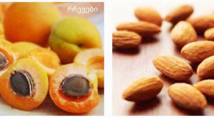 გარგარის მარცვალი გულის, ფეხების და ბრონქების სამკურნალო საშუალებაა. რას მკურნალობს გარგარის მარცვლები?