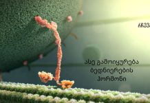 თუ გინდათ იყოთ ყოველთვის ბედნიერი ისწავლეთ თუ რა უნდა გააკეთოთ ოქსიტოცინის დონის გასაზრდელად.