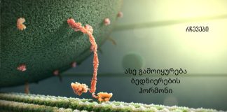 თუ გინდათ იყოთ ყოველთვის ბედნიერი ისწავლეთ თუ რა უნდა გააკეთოთ ოქსიტოცინის დონის გასაზრდელად.