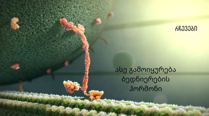 თუ გინდათ იყოთ ყოველთვის ბედნიერი ისწავლეთ თუ რა უნდა გააკეთოთ ოქსიტოცინის დონის გასაზრდელად.