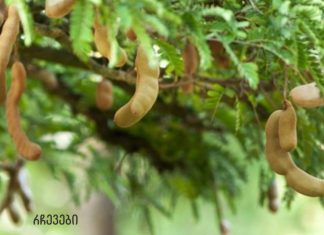 ყურადღება! ამ ძლიერ ხილს შეუძლია დიაბეტის, სახსრების, გულის პრობლემების და თმის ცვენის მკურნალობა!