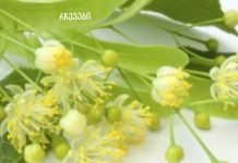 გინდათ გამოდევნოთ მარილი ორგანიზმიდან? მაშიენ ეს შენთვისაა.მარილის საბადო თქვენი ორგანიზმიდან 4 დღეში ამოვა!