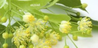 გინდათ გამოდევნოთ მარილი ორგანიზმიდან? მაშიენ ეს შენთვისაა.მარილის საბადო თქვენი ორგანიზმიდან 4 დღეში ამოვა!