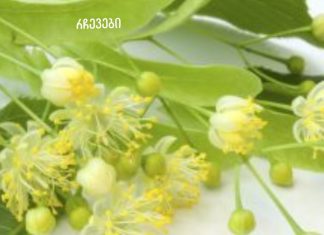 გინდათ გამოდევნოთ მარილი ორგანიზმიდან? მაშიენ ეს შენთვისაა.მარილის საბადო თქვენი ორგანიზმიდან 4 დღეში ამოვა!