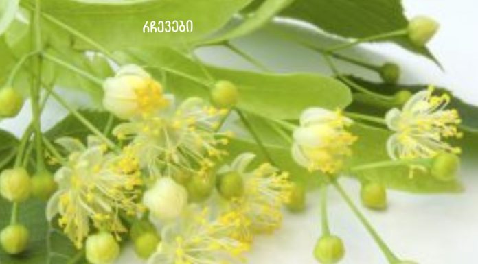 გინდათ გამოდევნოთ მარილი ორგანიზმიდან? მაშიენ ეს შენთვისაა.მარილის საბადო თქვენი ორგანიზმიდან 4 დღეში ამოვა!