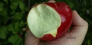 6 კარგი მიზეზი, თუ რატომ უნდა ჭამოთ ვაშლი კანით!