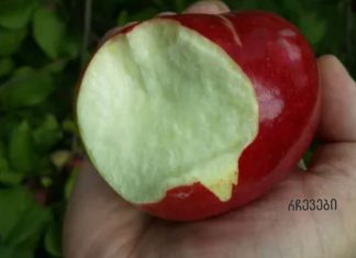 6 კარგი მიზეზი, თუ რატომ უნდა ჭამოთ ვაშლი კანით!