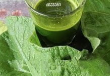 ბურდოკის წვენი: ღვიძლის, ნაღვლის ბუშტისა და სახსრების სამკურნალო საშუალება