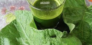 ბურდოკის წვენი: ღვიძლის, ნაღვლის ბუშტისა და სახსრების სამკურნალო საშუალება