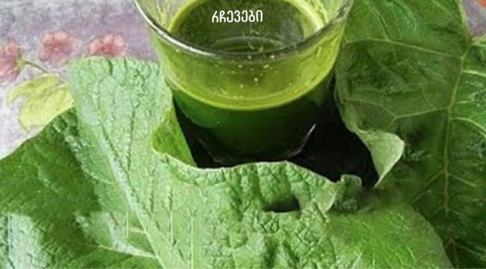 ბურდოკის წვენი: ღვიძლის, ნაღვლის ბუშტისა და სახსრების სამკურნალო საშუალება