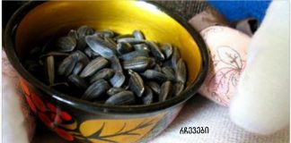 როგორ მოვამზადოთ წამალი ჰიპერტენზიისთვის