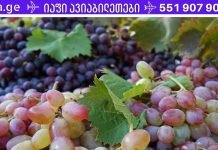 სენსაცია! ეს პროდუქტები შეიცავს ჰიალურონის მჟავას!რაც თქვენი სილამაზისთვის აუცილბელია.