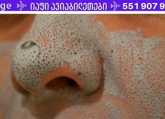 2 ინგრედიენტიანი სახის ნიღაბი ცხვირზე შავი წერტილების მოსაშორებლად. უმრტივესია!