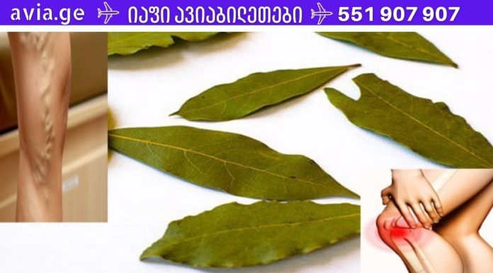 აღარ დაგჭირდებათ ვარიკოზული მალამოები, მეხსიერების ნაკლებობის დროს გამოიყენეთ და აღარ გექნებათ თავის ტკივილი ამ ფოთლების წყალობით!