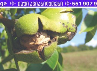 ეს „გაანადგურებს“ პროსტატიტს 1 ღამეში! Სსაუკეთესო საშუალება