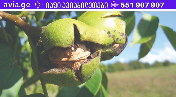 ეს „გაანადგურებს“ პროსტატიტს 1 ღამეში! Სსაუკეთესო საშუალება