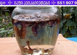 სასწაულმოქმედი სამკურნალო ნაყენი კაკლის ტიხრებისგან!