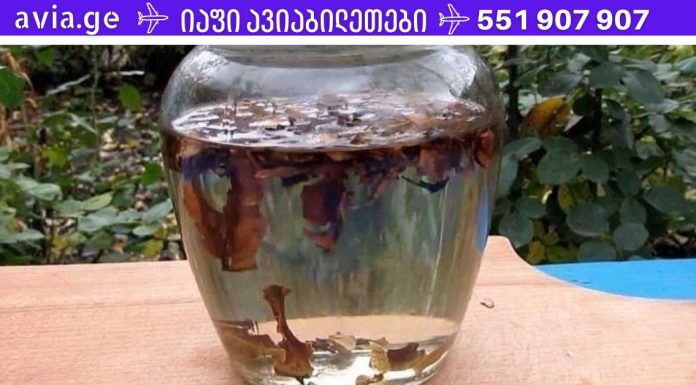 სასწაულმოქმედი სამკურნალო ნაყენი კაკლის ტიხრებისგან!