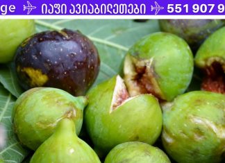 დაემშვიდობეთ ხერხემლის, ზურგისა და ფეხების ტკივილს ამ ბუნებრივი საშუალების გამოყენებით!