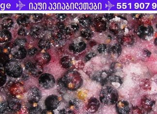 აქამდე არ ვიცოდი მისი ამდენი სარგებელის შესახებ. რამდენად სასარგებლოა შავი მოცხარი ჩვენი ჯანმრთელობისთვის