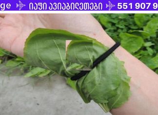 ეს მცენარე განკურნავს ბუასილს, შეამცირებს შაქარს და ცუდ ქოლესტერინს, მოგიხსნით ნაწიბურებს.