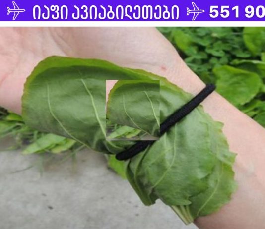 ეს მცენარე განკურნავს ბუასილს, შეამცირებს შაქარს და ცუდ ქოლესტერინს, მოგიხსნით ნაწიბურებს.