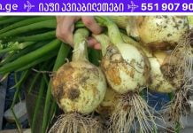 ყველაზე ძლიერი ბუნებრივი საშუალება: აუმჯობესებს მეხსიერებას 80%-ით, მხედველობასა და სმენას