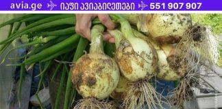 ყველაზე ძლიერი ბუნებრივი საშუალება: აუმჯობესებს მეხსიერებას 80%-ით, მხედველობასა და სმენას