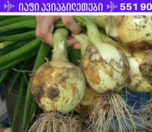 ყველაზე ძლიერი ბუნებრივი საშუალება: აუმჯობესებს მეხსიერებას 80%-ით, მხედველობასა და სმენას