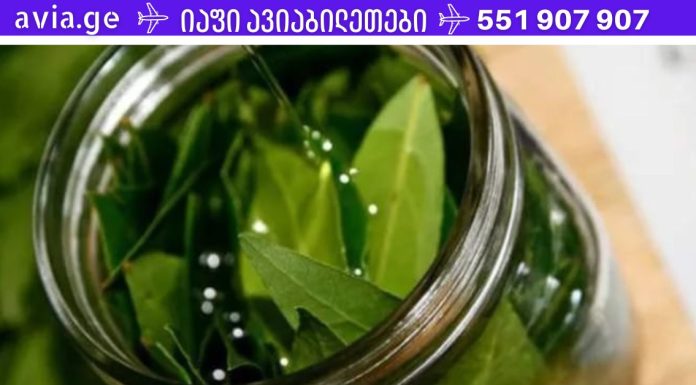 ერთი ფოთოლი განკურნავს უძილობას, არტერიულ წნევას, ამცირებს სისხლში შაქარს და ცხიმს!