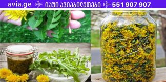 ბაბუაწვერას ყვავილი სასწაულებრივად კურნავს ჰეპატიტს, ღვიძლის, თირკმელების, კუჭის დაავადებებს.აი, როგორ მოვამზადოთ ის სწორად!