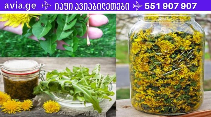 ბაბუაწვერას ყვავილი სასწაულებრივად კურნავს ჰეპატიტს, ღვიძლის, თირკმელების, კუჭის დაავადებებს.აი, როგორ მოვამზადოთ ის სწორად!