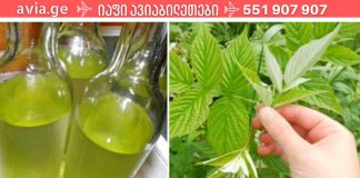 ჟოლოს ფოთლის ნაყენი ჩემს მეზობელის ბაბუას დაეხმარა ნერვულ აშლილობასთან და გულის დაავადებებთან ბრძოლაში