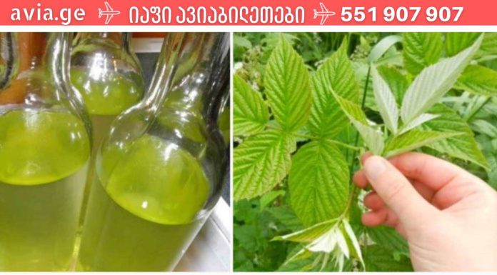 ჟოლოს ფოთლის ნაყენი ჩემს მეზობელის ბაბუას დაეხმარა ნერვულ აშლილობასთან და გულის დაავადებებთან ბრძოლაში