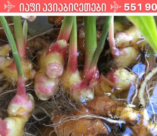 ჯანჯაფილი თქვენი ხავერდოვანი კანისთვის