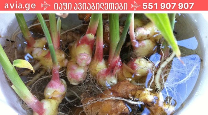 ჯანჯაფილი თქვენი ხავერდოვანი კანისთვის