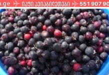 ირგის კენკრა მხოლოდ ჯანმრთელობის საბადოა ჩვენი ორგანიზმისთვის!