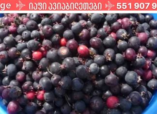 ირგის კენკრა მხოლოდ ჯანმრთელობის საბადოა ჩვენი ორგანიზმისთვის!